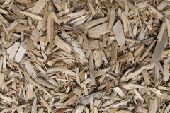 biomass boilers Bradnop
